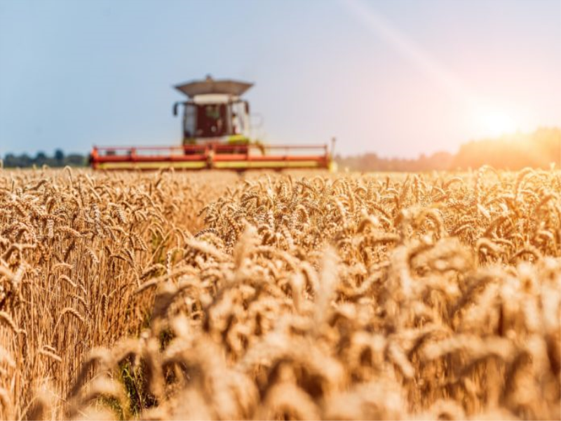 2020’de tarım makineleri sektörü nasıl olacak?