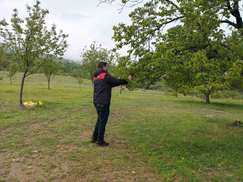 Malatya’da dolu sonrası hasar tespit çalışmaları devam ediyor