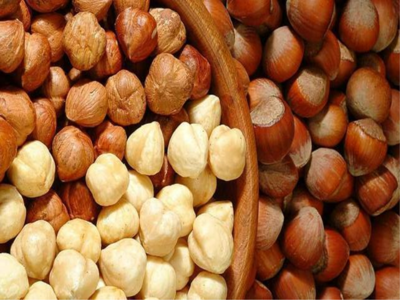 Giresun'da fındık üreticisinin umudu serbest piyasa!