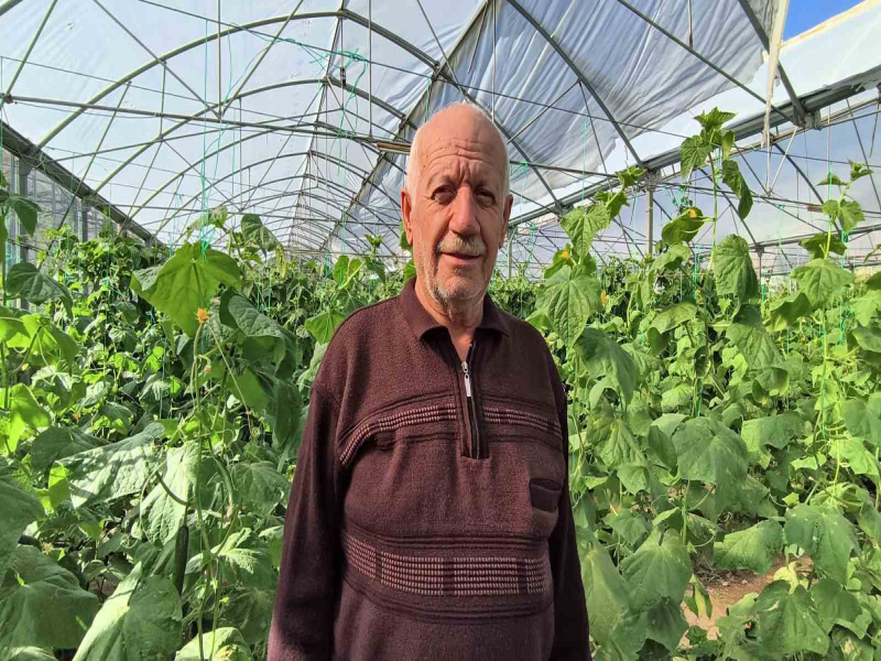 Doğu Anadolu’nun en büyük serasında yaz-kış üretim devam ediyor. Doğu Anadolu’nun en büyük serasında yaz-kış üretim devam ediyor.