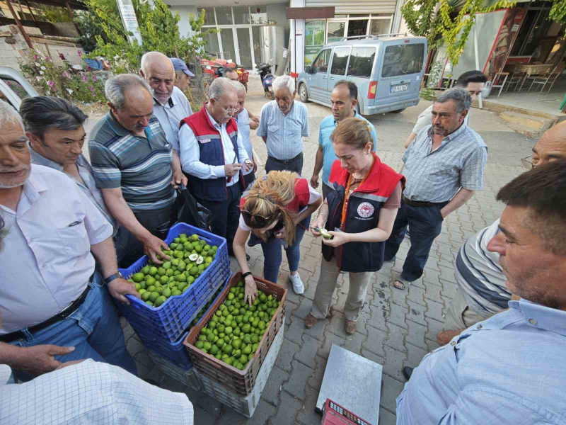Karacasu’da incir üreticilerine kaliteli ilek uyarısı!