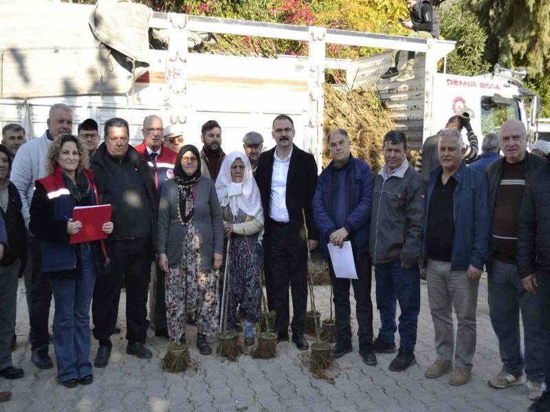 Sultanhisar'da 9 Bin 500 Fidan Üreticilere Dağıtıldı Sultanhisar'da 9 Bin 500 Fidan Üreticilere Dağıtıldı