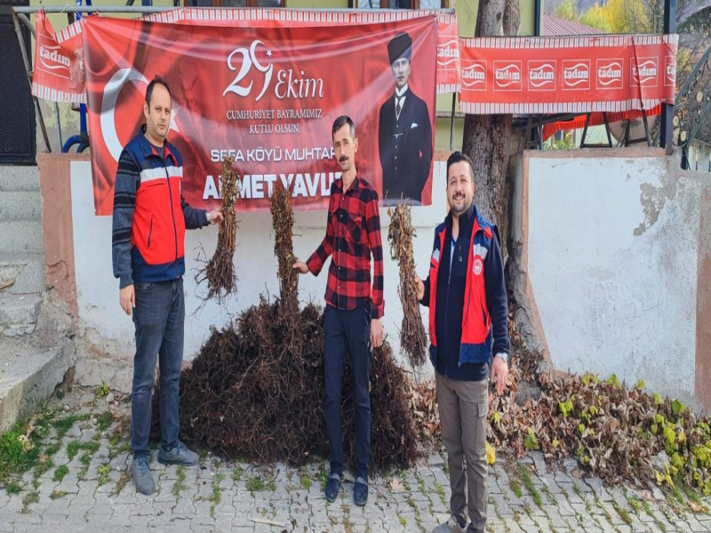 Domaniç Çiftçilerine Devlet Destekli Ahududu Fidanları Dağıtıldı