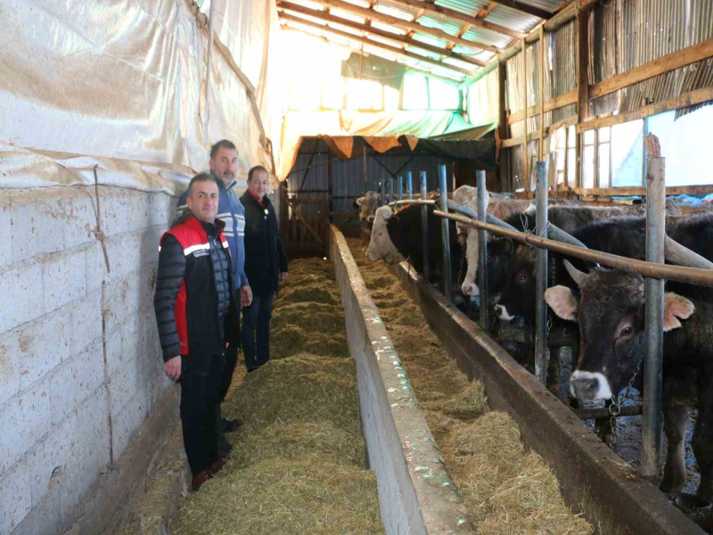 Erzincan İl Tarım Müdürü Aile İşletmelerini Ziyaret Ederek Üreticilerle Buluştu