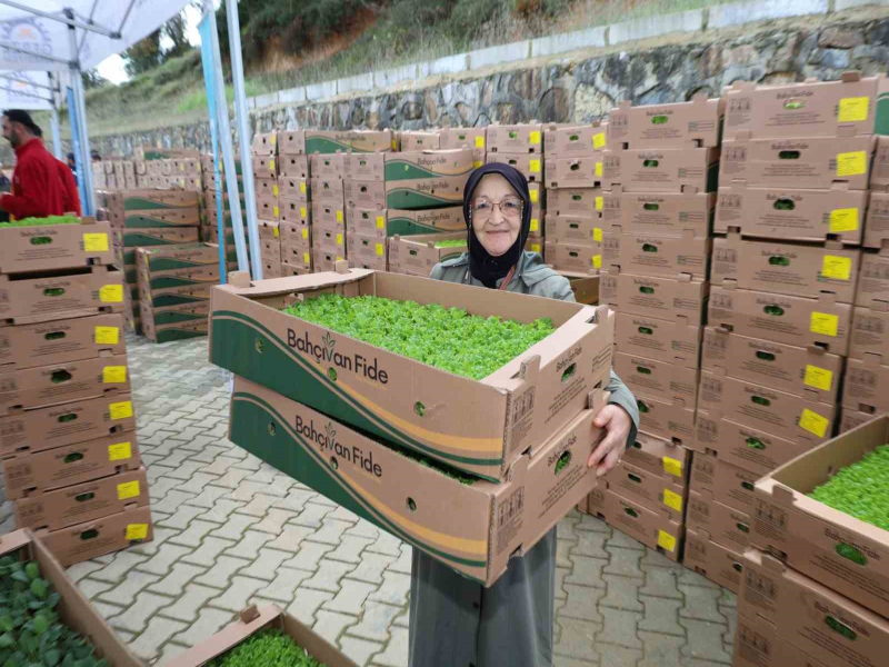 Kocaeli'de Çiftçilere 500 Bin Fide Hibe Edildi, Toplamda 1.35 Milyar TL Destek