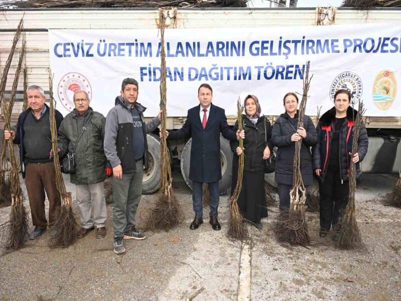 Denizli'de Ceviz Fidanı Dağıtımıyla Üretim Hedefi Güçleniyor Denizli'de Ceviz Fidanı Dağıtımıyla Üretim Hedefi Güçleniyor