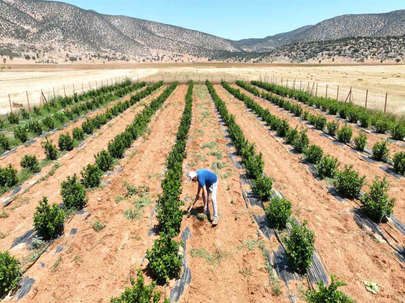 "Beğiş Susuzu Sulama Projesi" ile bölge halkı tarımsal üretime başladı
