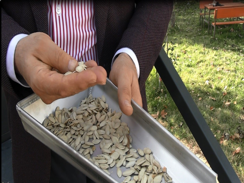 Edirne'de Hibrit Enerjiyle Tohum Kurutma Makinesi Tanıtıldı: Ekonomik Çözüm