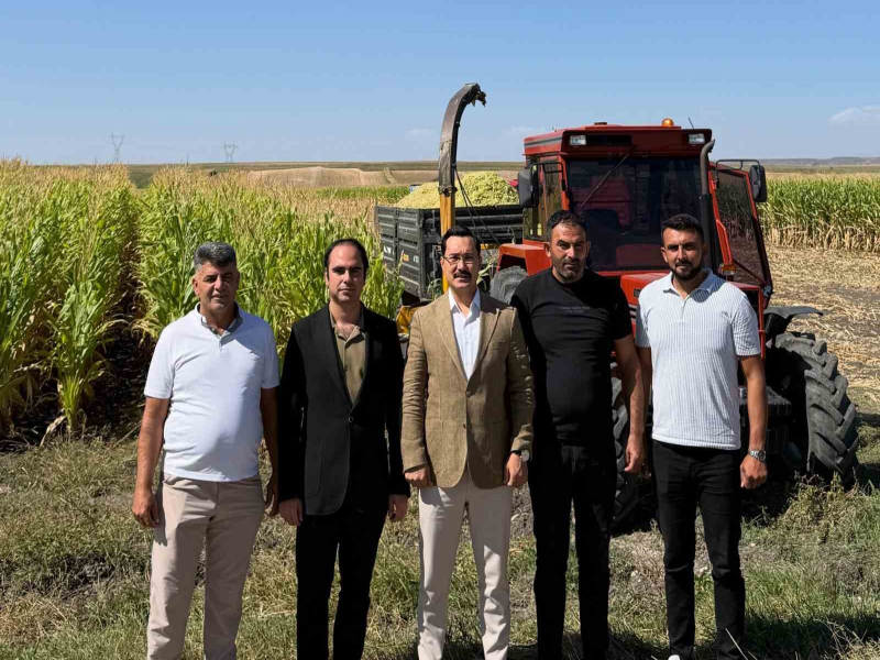 Akyaka’da Yem Bitkileri Hasadı Başladı