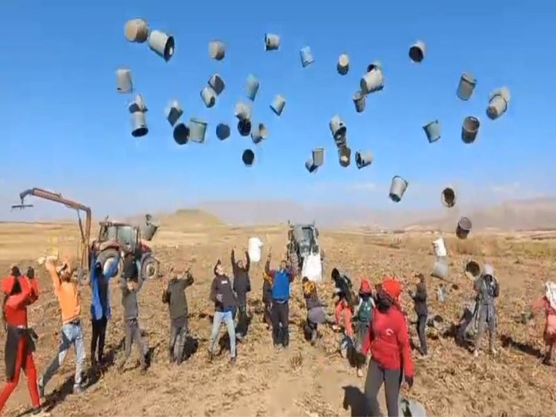 Patnos'ta Patates Hasadı: 500 Dönüm Arazi Üzerinden 1.650 Ton Ürün Toplandı