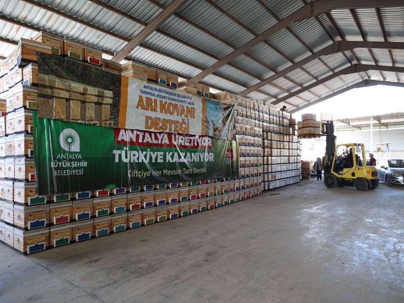 Antalya'da arı kovanı destekleri devam ediyor      
