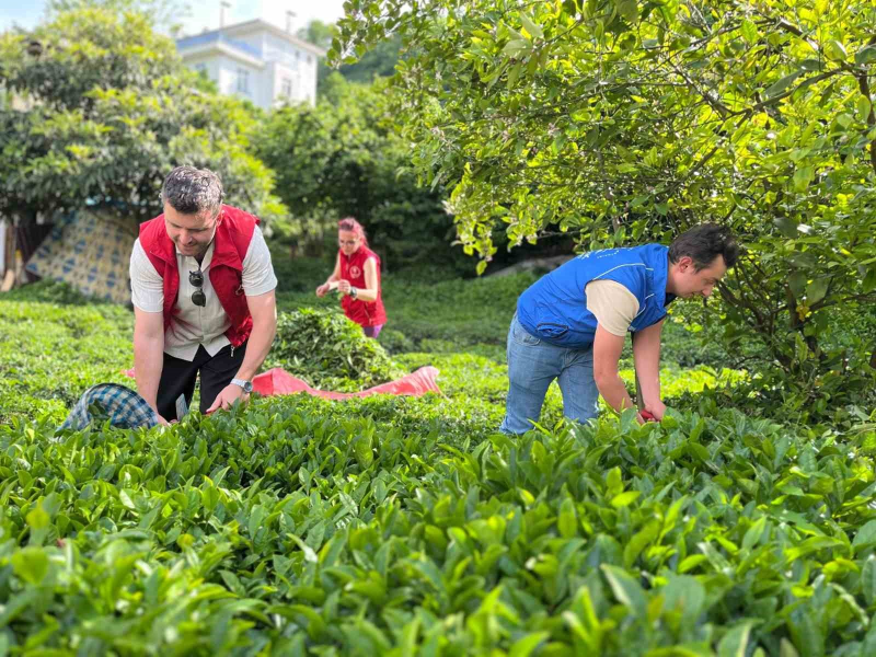 Gönüllü Hasat Etkinliği 2026 yılı takvimi belirlendi 