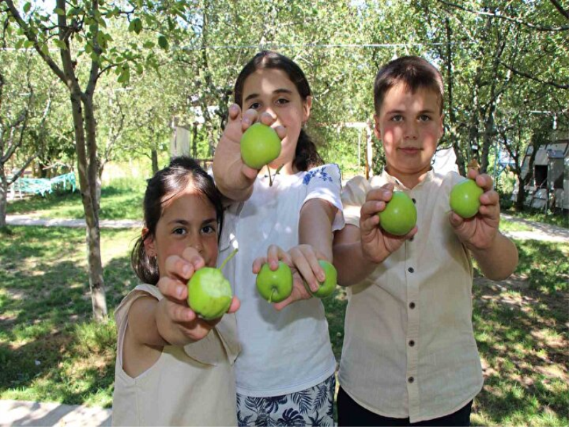 Don felaketinden korunan elmalarını satmadı, gelenlere ikram ediyor.