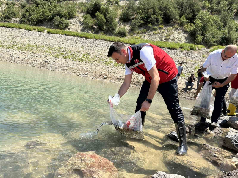 Karacaören Göleti’ne ilk kez 10 bin pullu sazan bırakıldı.