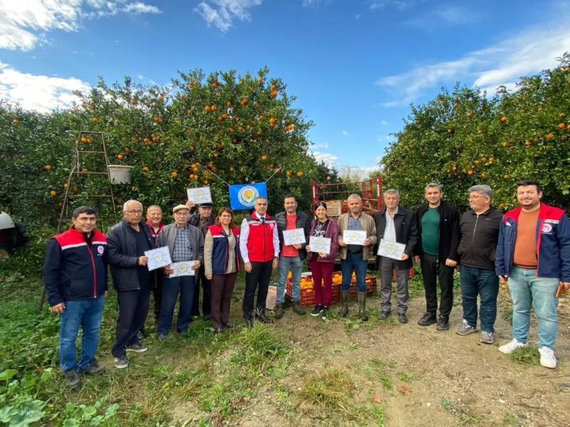 Aydın Kuyucak'ta Portakal Hasadı Yapıldı Üreticiler EKÜY Belgelerini Aldı