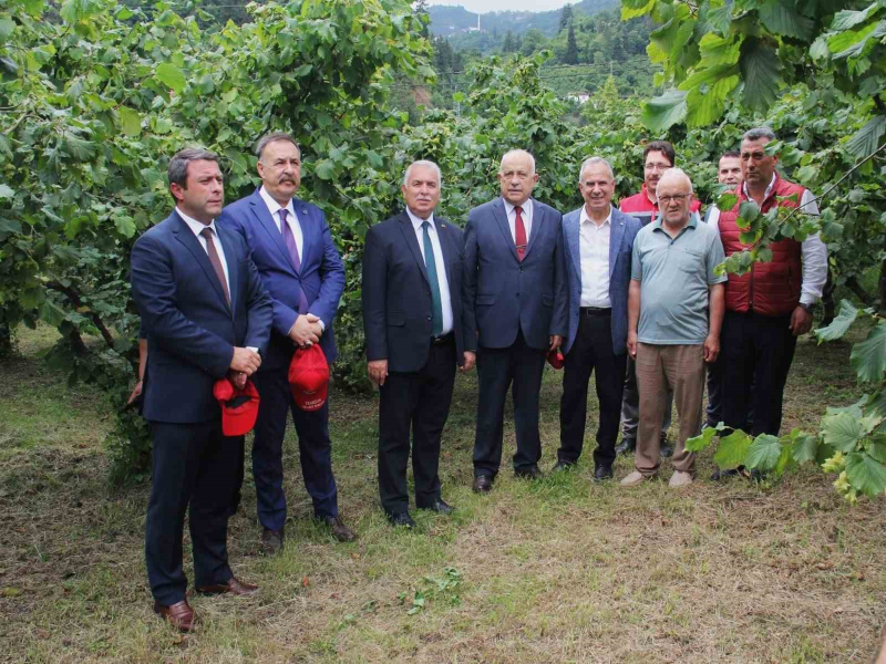 Trabzon Valisi bahçeye inmeyen fındık üreticisine sitem etti.