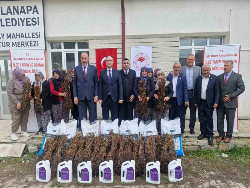Kütahya'da İyi Tarım Projesiyle Kadın Çiftçilere 7 Bin Ahududu Fidanı Dağıtıldı