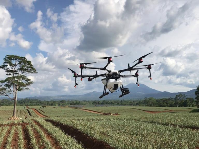 Mersin'de Dronlar Tarımı Dönüştürüyor: Verimlilik Artıyor, Maliyetler Düşüyor Mersin'de Dronlar Tarımı Dönüştürüyor: Verimlilik Artıyor, Maliyetler Düşüyor