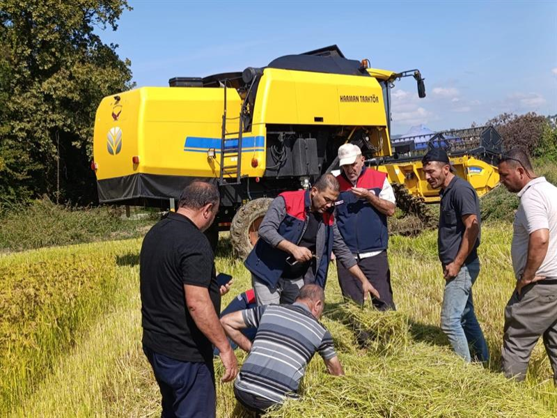 Düzce'de çiftçinin emeği için biçerdöverler kontrol altında!
