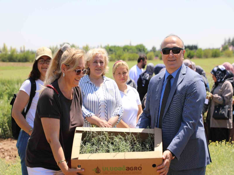 Altın çiçeğinde hasat sevinci                     