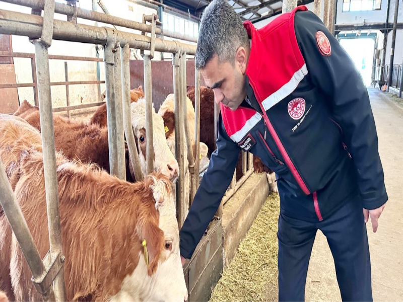 Erzurum'da 1,6 Milyar TL'lik Üreticileri Destekleme Ödemeleri Yapıldı