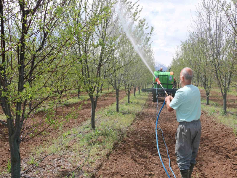 Erzincan’da meyve üreticilerine yağış sonrası ilaçlama uyarısı yapıldı