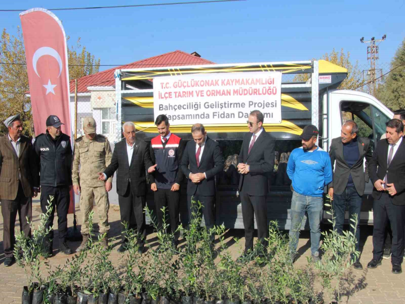 Şırnak'ta Çiftçilere 4 Bin Zeytin Fidanı Dağıtıldı