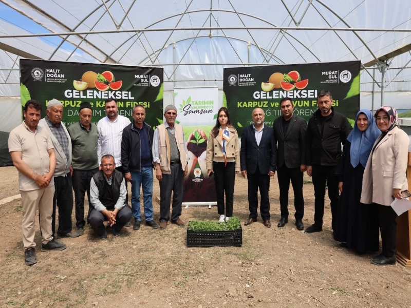 Samsun'da üreticiye 120 bin fide ücretsiz dağıtıldı 