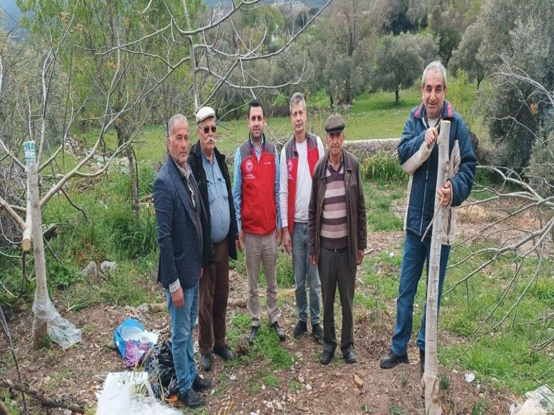 Menteşe’de çiftçilere uygulamalı eğitim verildi   