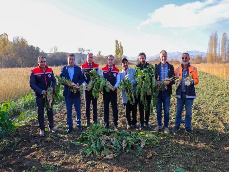 Bayburt'ta Şeker Pancarı Hasadı Başladı: 41 Üretici 2 Bin 870 Dekarda Üretimde