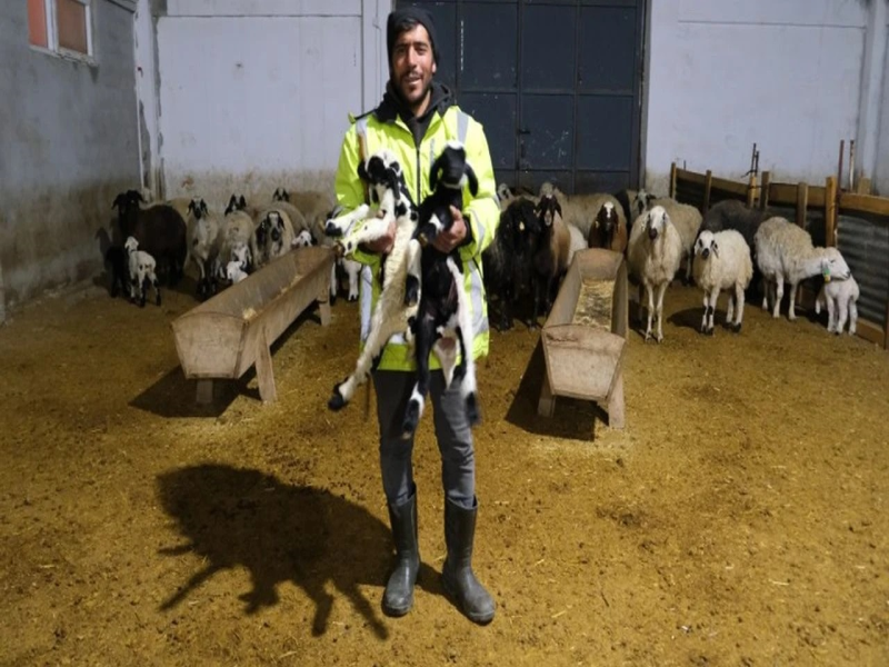 Erzincanlı Üretici Devlet Desteğiyle 8 Milyon TL'lik Çiftlik Kurdu