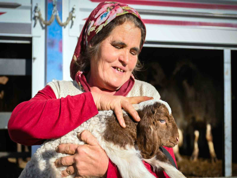 Mersin'de Çiftçilere Yem ve Küçükbaş Hayvan Destek Programı Uygulanıyor