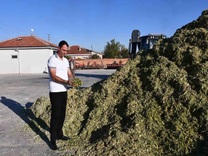 Mısır silajı ve pancar küspesi paketleme sezonu başladı. Mısır silajı ve pancar küspesi paketleme sezonu başladı.