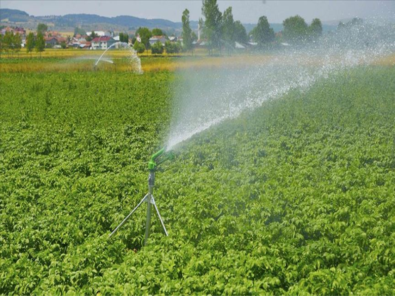 Tunceli’de sulu tarım ile ekonomiye 647 milyon TL katkı sağlanacak.