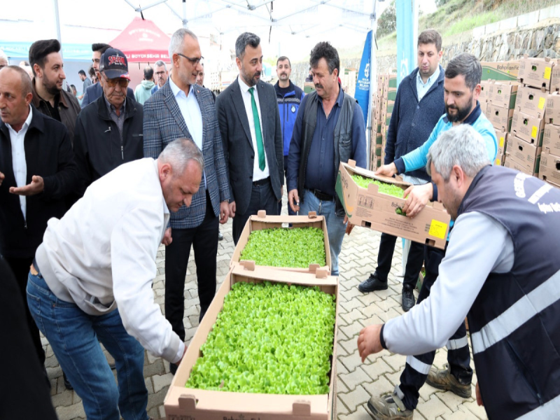 Salihlili üreticilere 34 bin sebze fidesi dağıtımı yapıldı
