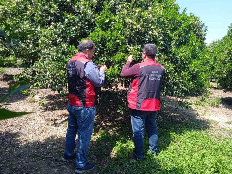 Kimyasala karşı doğal mücadele seferberliği       