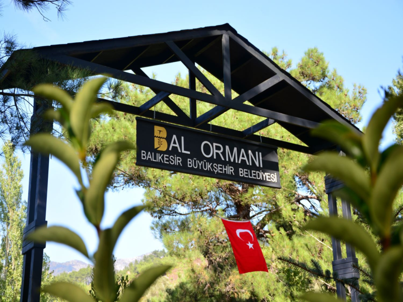 Kazdağlarında başlatılan Bal Ormanı Projesi arıcılığa destek olacak.