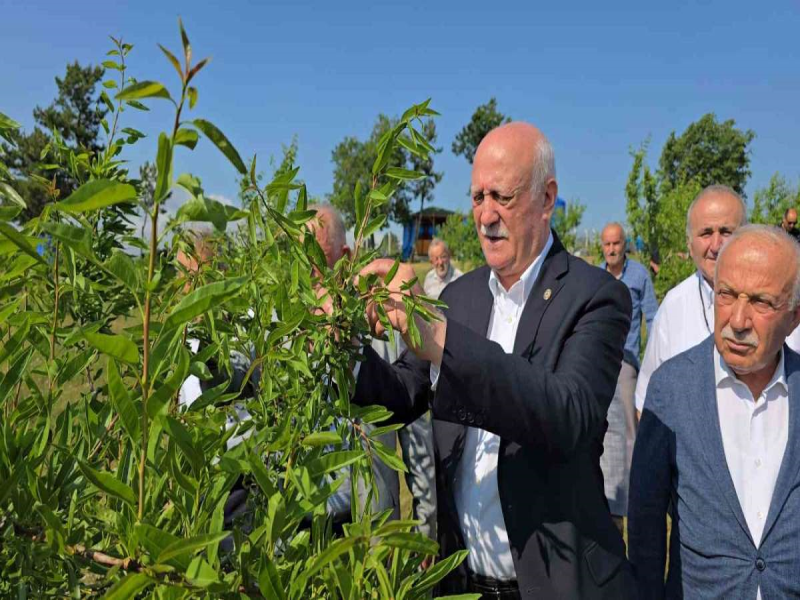 TZOB Genel Başkanı, Karabük’te zirai dondan etkilenen tarlaları inceledi.