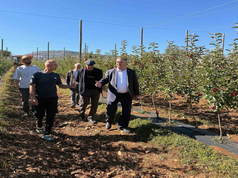 Menteşe Ziraat Odası Başkanı Baştuğ, Şenyayla'da Elma Üreticilerini Dinledi