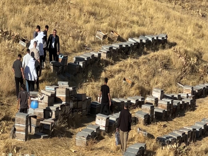 Hakkari’nin Yüksekova ilçesinde bal hasadı başladı. Hakkari’nin Yüksekova ilçesinde bal hasadı başladı.