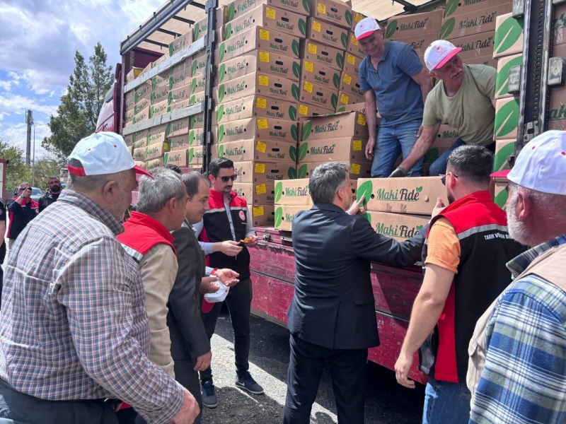220 üreticiye 779 bin 520 sebze fidesi dağıtıldı 