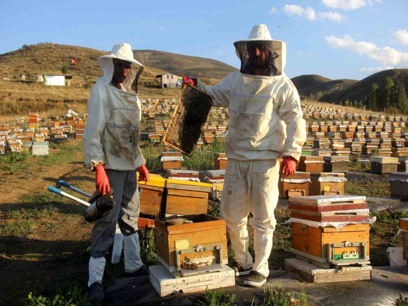 Bayburt yaylalarında bal hasadı sezonu başladı.