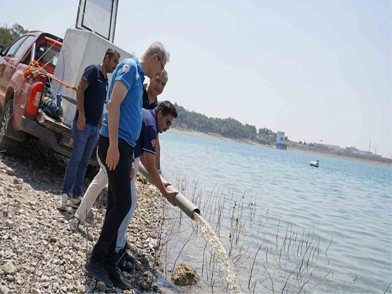 Adana’da yetişen 10 milyon 500 bin yavru sazan 12 ilde suyla buluştu.
