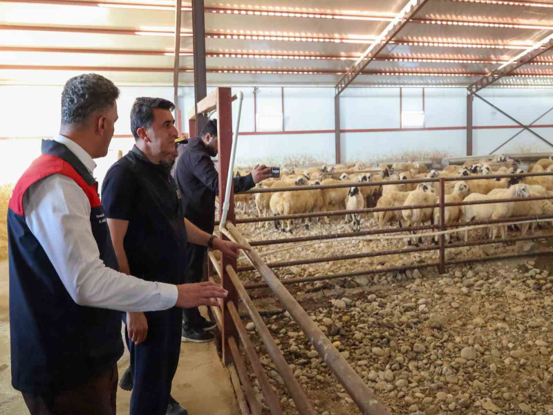 Tunceli’de Kırsal Kalkınma Destekleri Üreticiye Güç Veriyor
