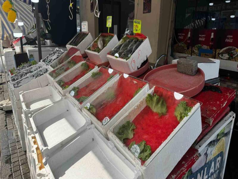 Alaplı ve Karadeniz Ereğli’de balık tezgâhları boş kaldı. Alaplı ve Karadeniz Ereğli’de balık tezgâhları boş kaldı.
